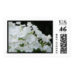 white hydrangea stamps