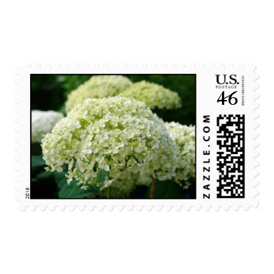 White Hydrangea Stamps