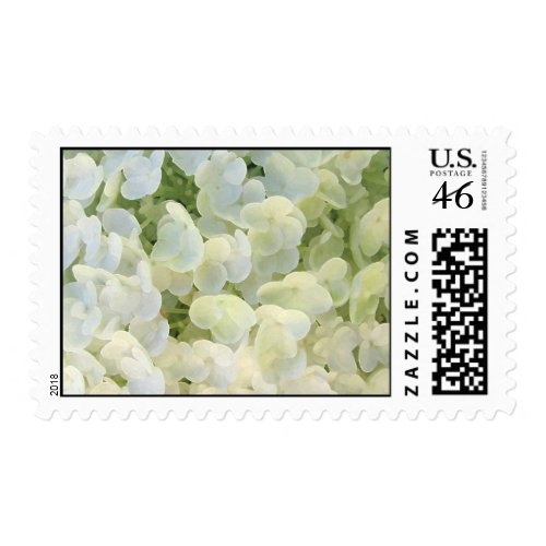 White hydrangea stamps stamp