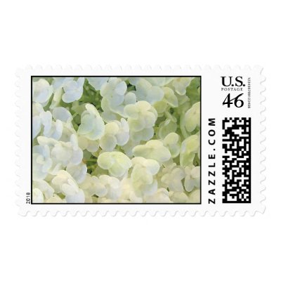 White hydrangea stamps