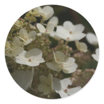 White Hydrangea stickers by Flowerpixels White Hydrangea stickers