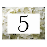 White Hydrangea Table Numbers Post Card