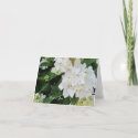 White Hydrangea Thank You Greeting Card