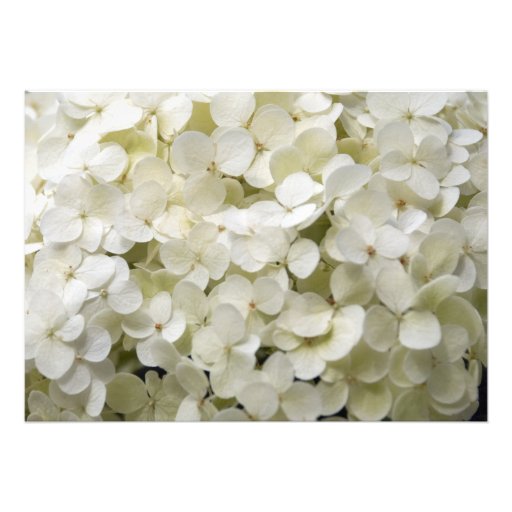 White Hydrangea Wedding Invitation