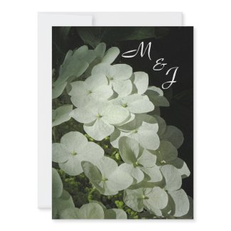 White Hydrangea Wedding InvitationB
