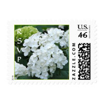 White Hydrangea Wedding Postage stamps