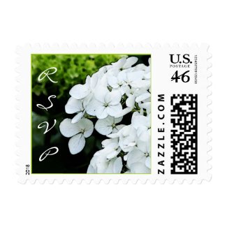 White Hydrangea Wedding - square small stamp