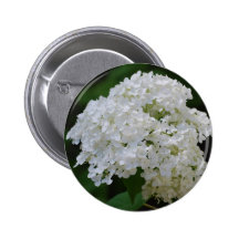White Hydrangeas Button