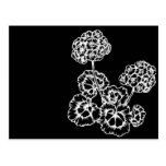 White Hydrangeas Modern Postcard postcards