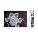White hydrangeas postage by anaisacolon White hydrangeas postage