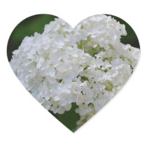 White Hydrangeas Stickers