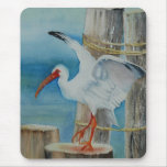 White Ibis by Peggy Allen Mousepad