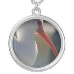 White ibis head picture , orange beak bird pendant