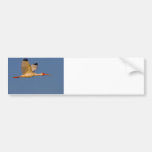 white ibis in flight bumper stickers