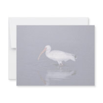 White Ibis invitations by animalpark White Ibis invitations