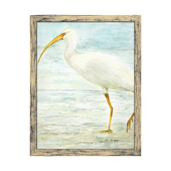 White Ibis on the Shore Beach Watercolor Painting Stretched Canvas Prints