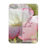 White Iceland Poppy- Life is Inspiration Magnet