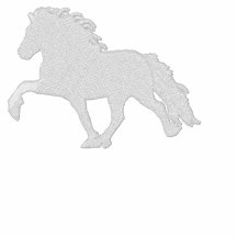 White Icelandic Horse ~ Long sleeve Shirt