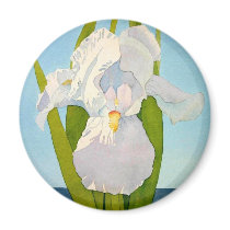 White Iris2 magnets