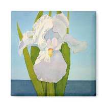 White Iris2 Magnet magnets