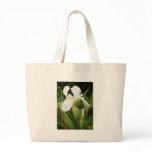 White Iris 3