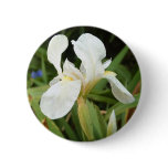 White Iris 3