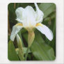 White Iris 4