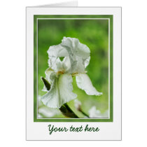 White Iris Closeup Photograph with Raindrops cards