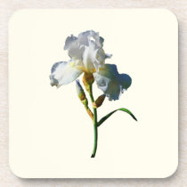 White Iris in Sunshine cork coasters