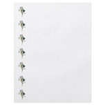 White Iris in Sunshine flyers