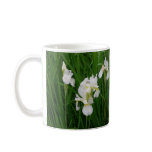 White iris mugs