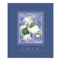 White Iris posters by dbarone57 White Iris posters