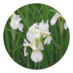 white iris stickers