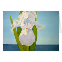 White Iris Watercolor Card by tkrysak White Iris Watercolor Card