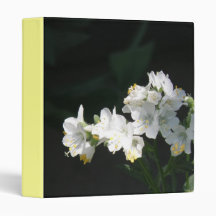 White Jacobs Ladder Binder