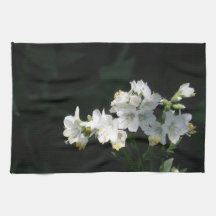White Jacobs Ladder Kitchen Towel