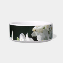 White Jacobs Ladder Pet Bowl Cat Bowls