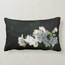 White Jacobs Ladder Pillow