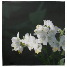 White Jacobs Ladder Set of Four Napkins