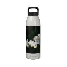 White Jacobs Ladder Water Bottle