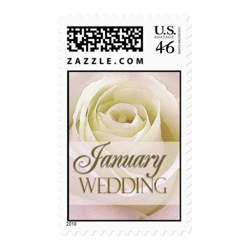 White January Wedding Rose Postal Stamp stamp