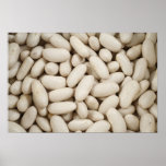 White kidney beans print
