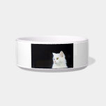 White kitten Cat Bowl