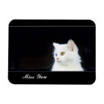 White kitten Premium Magnet