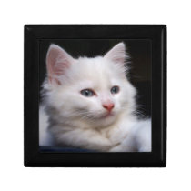 White Kitten gift boxes