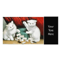 White kittens with dominoes photo card template