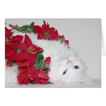 White kitty Christmas Greeting Card