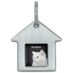 White Kitty Pet Tag