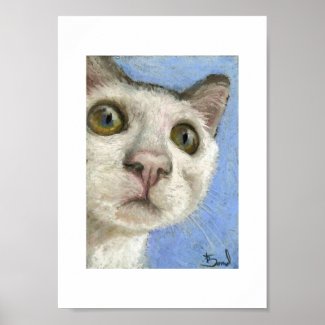 White kitty print print