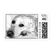 White Lab Graphic Stamp